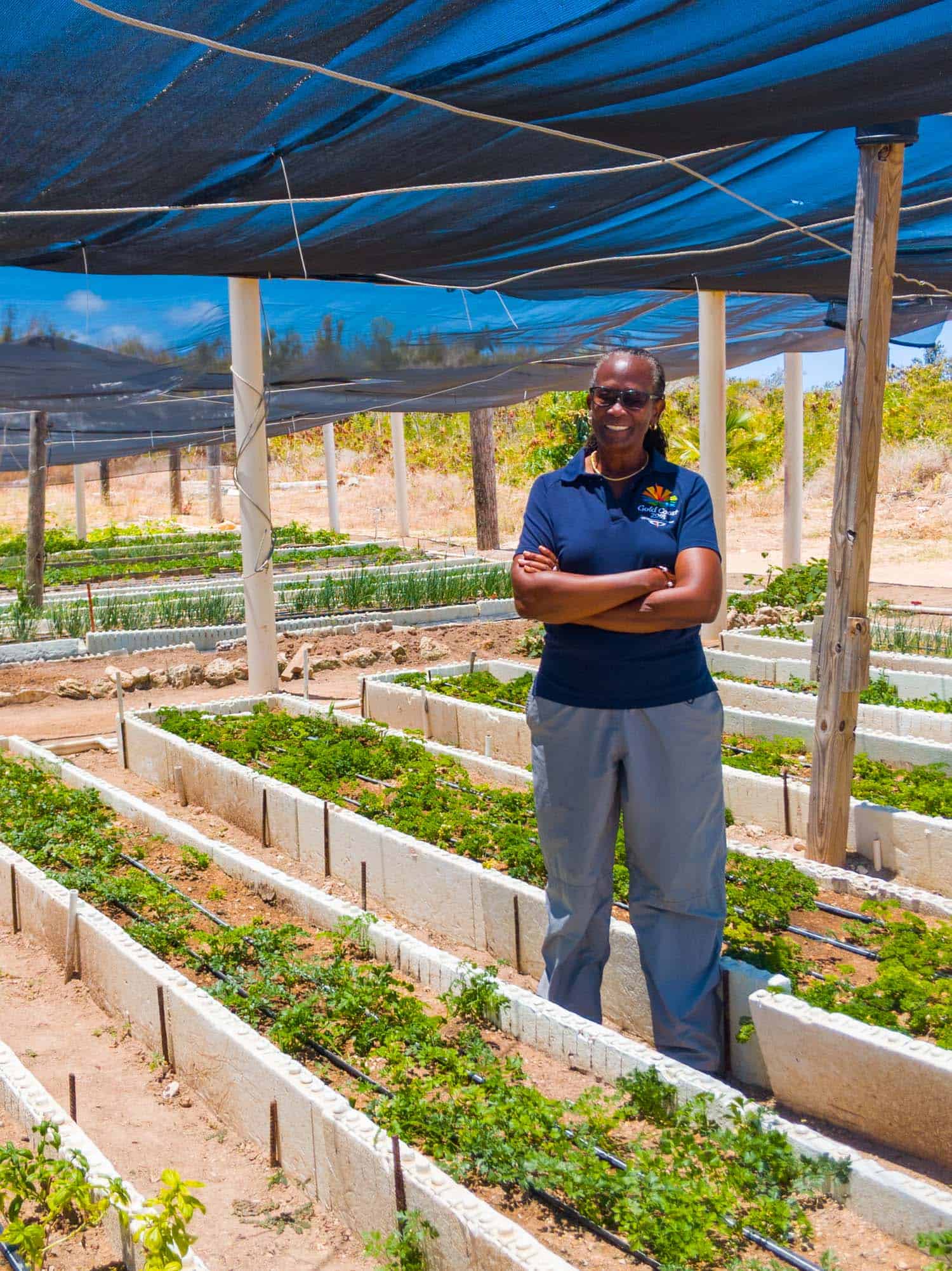 Farmer in Anguilla in a patch of herbs