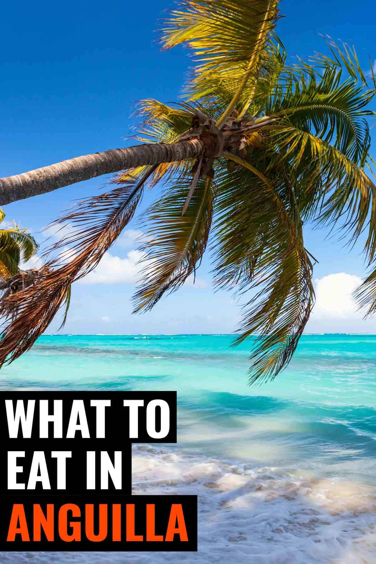 Anguilla beach and palm tree