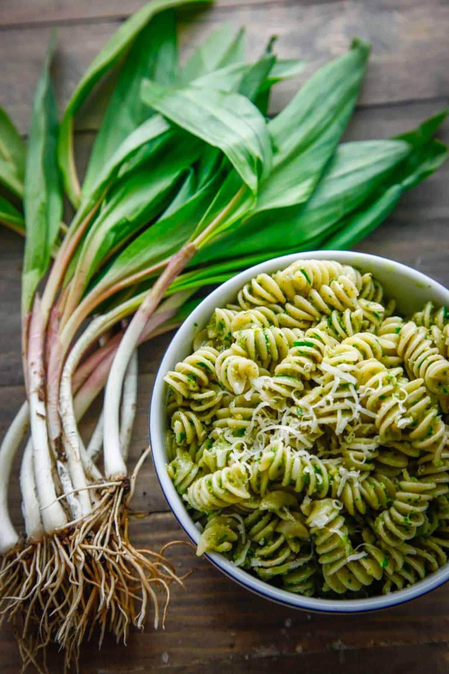 rotini ramp pesto in bowl next to wild ramps