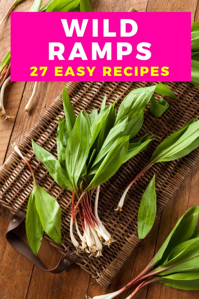 Wild ramps on a table