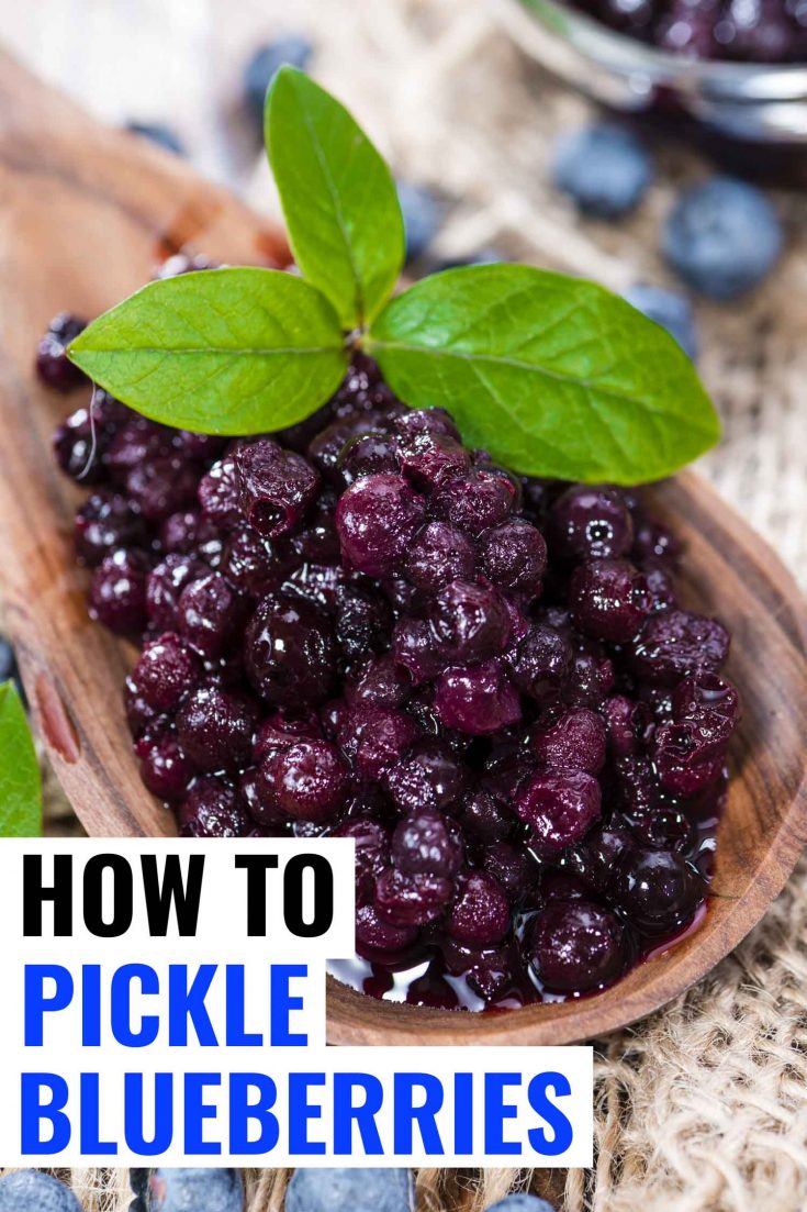 10 Minute Pickled Blueberries Easy Fridge Pickle Recipe