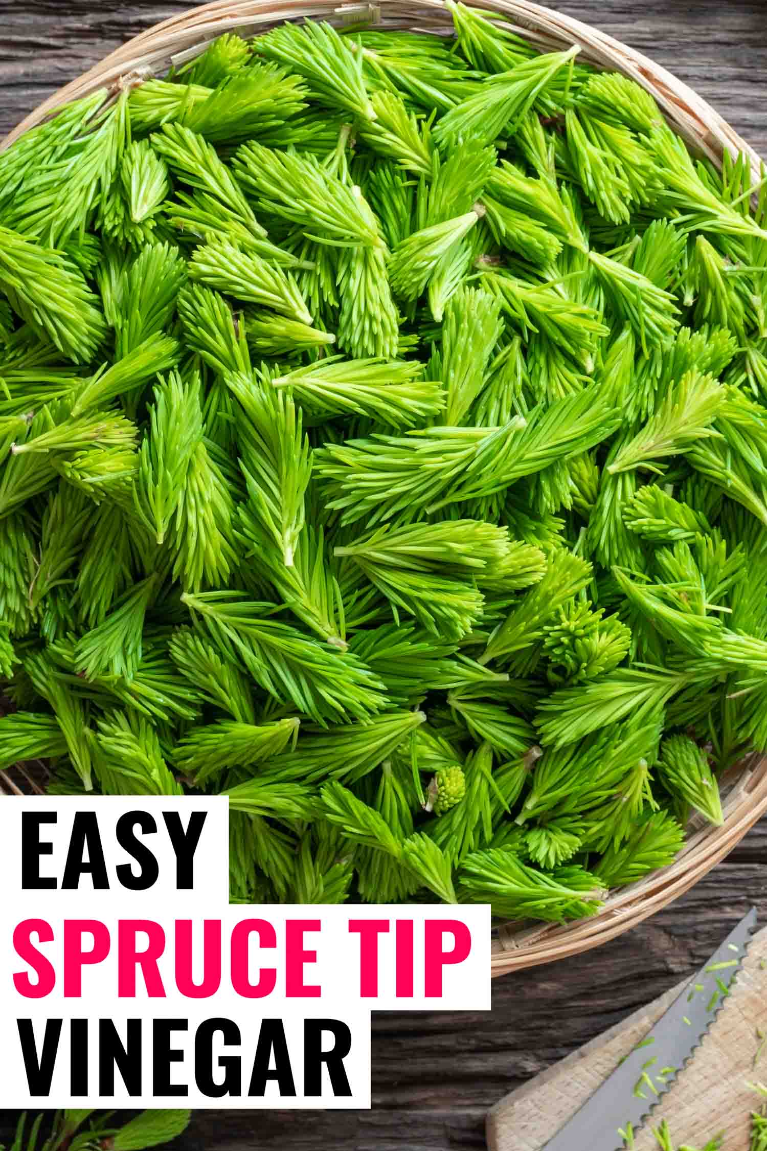 spruce tips