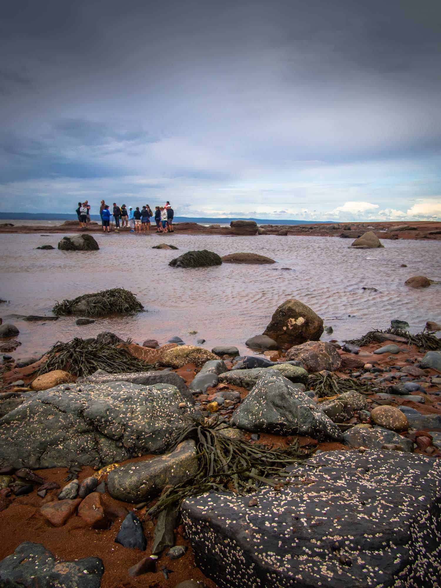 Dining on the Ocean Floor dinner at Burntcoat Head Park