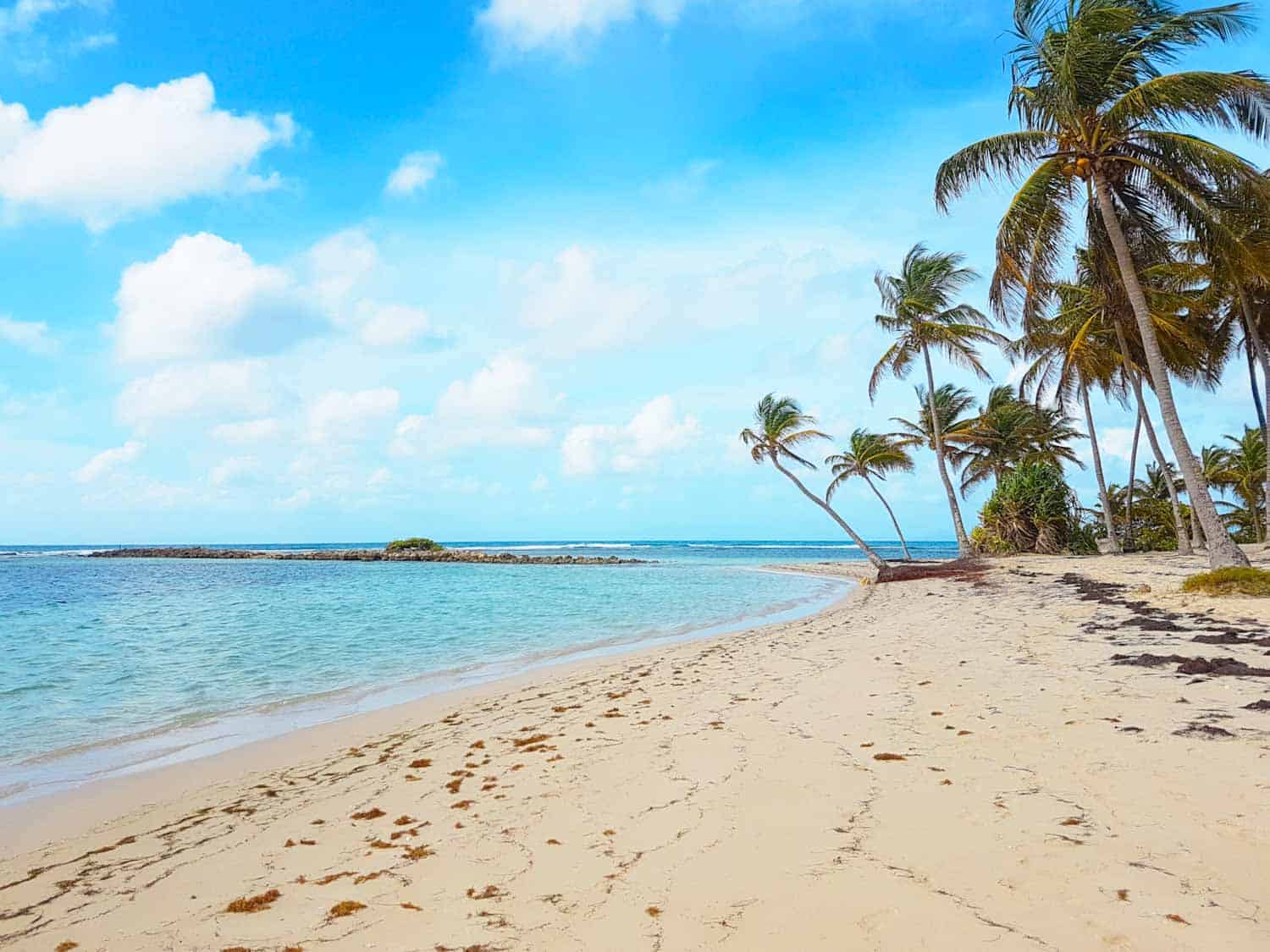 Caravelle Beach in Guadeloupe Island in the Caribbean