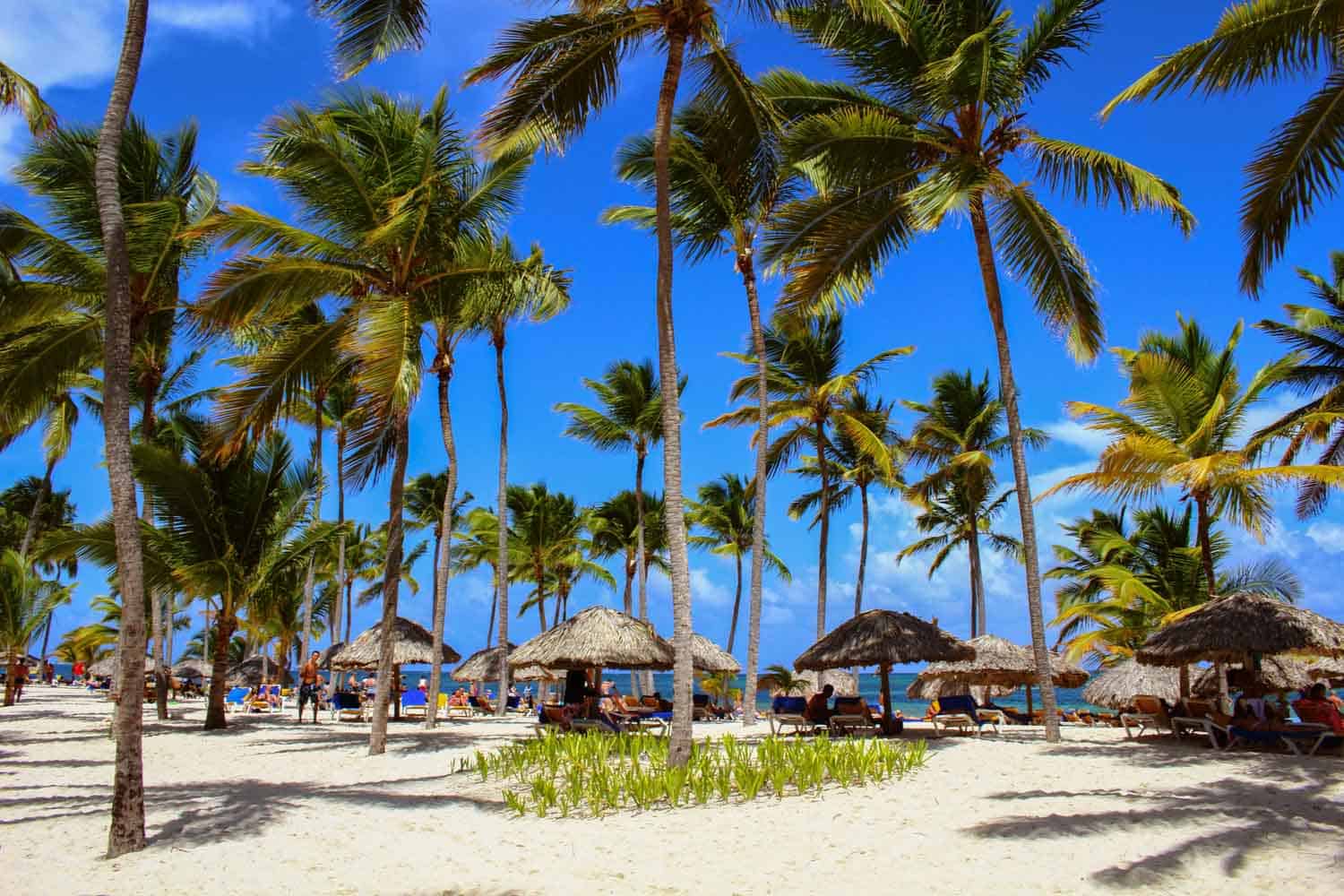 Huts along Bavaro beach in the Dominican Republic