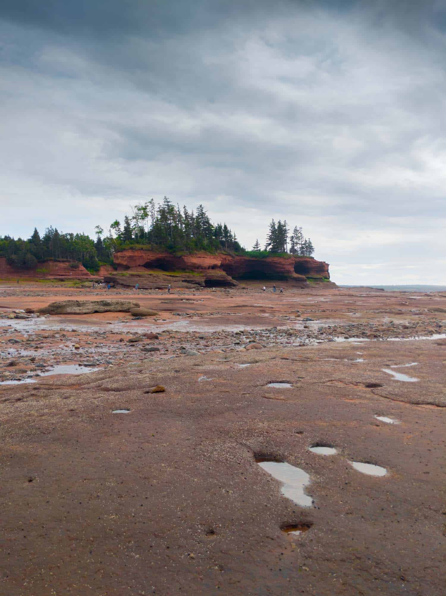 Burntcoat Head Park in Bay of Fundy Nova Scotia at low tide.