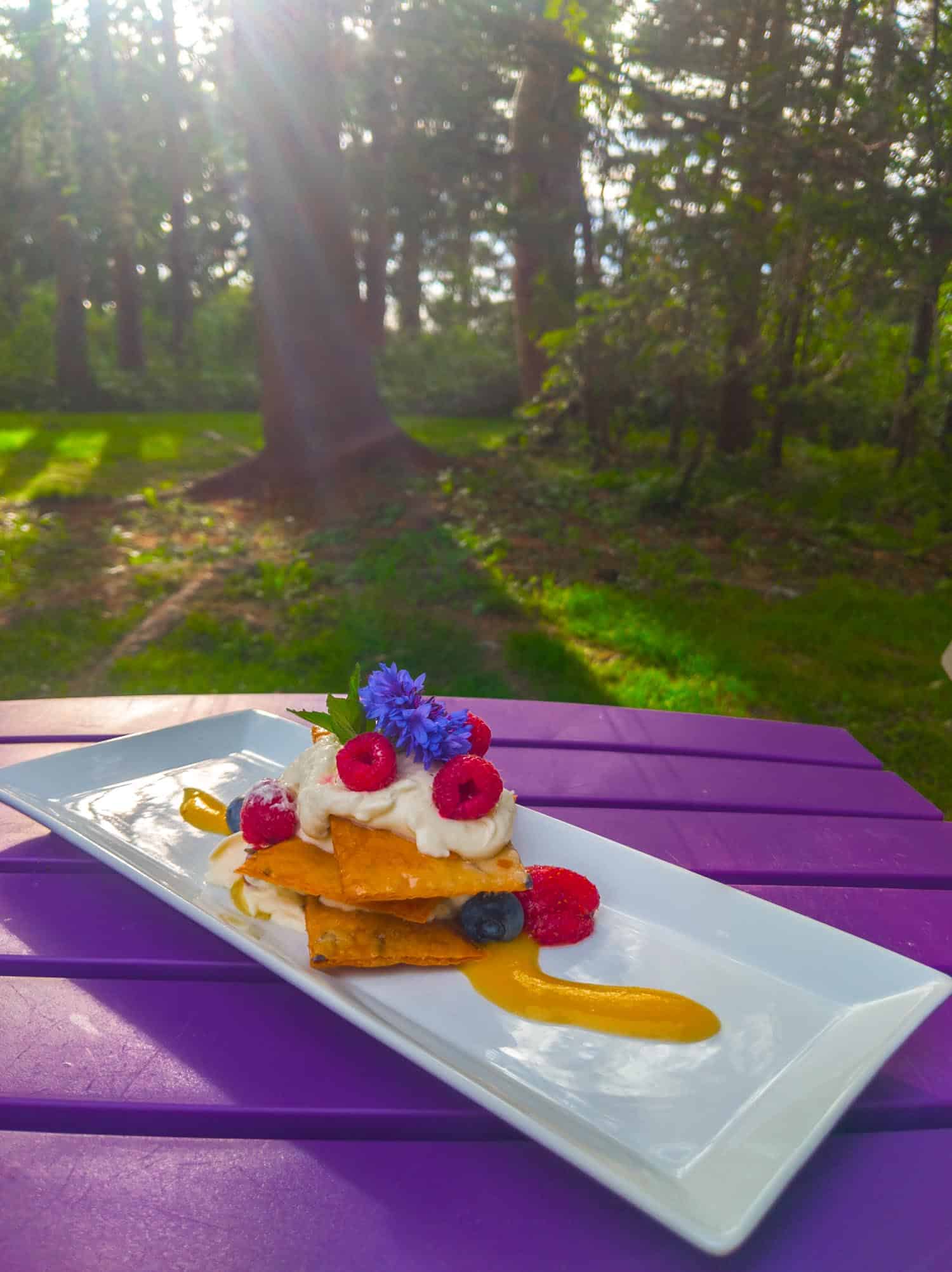 Nova Scotian dessert with fresh fruit and whipped cream at Burntcoat Head Dining on the 