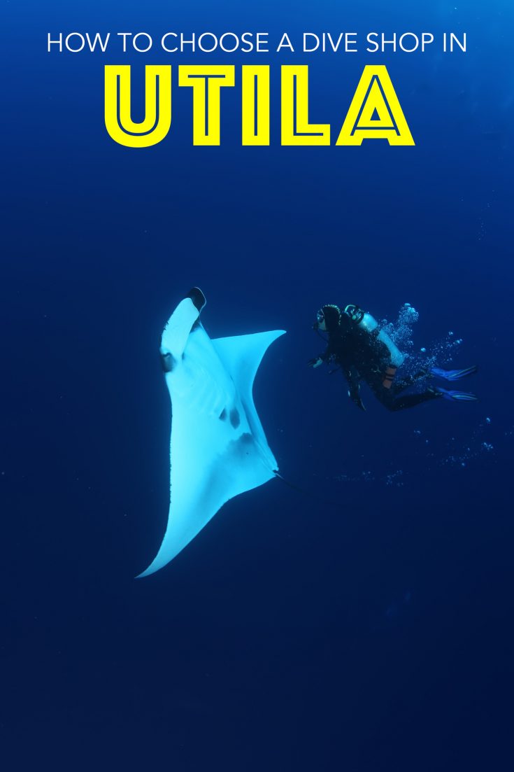 Honduras Diving How to Find the Best Utila Dive Center