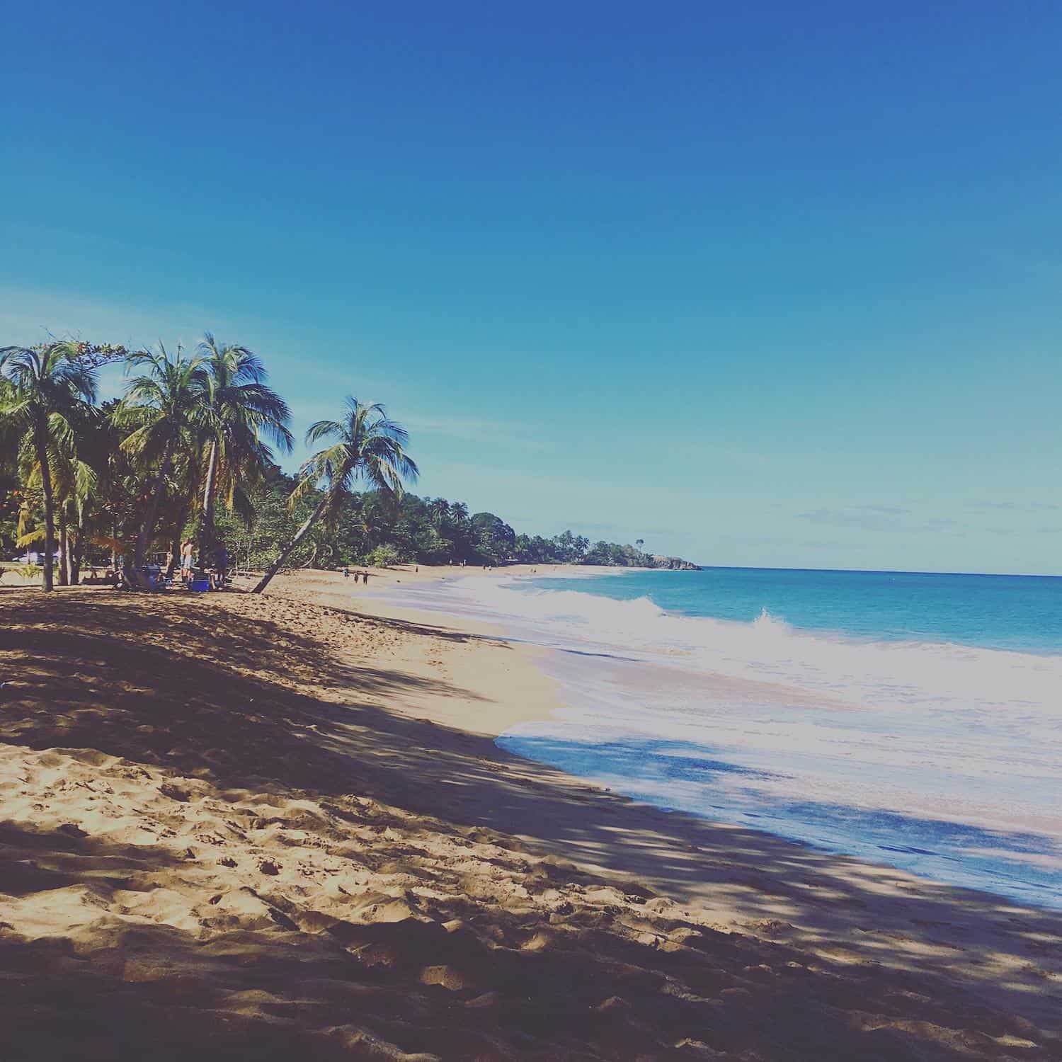 Plage de la Perle in Guadelupe is one of the most beautiful beaches in the Caribbean.