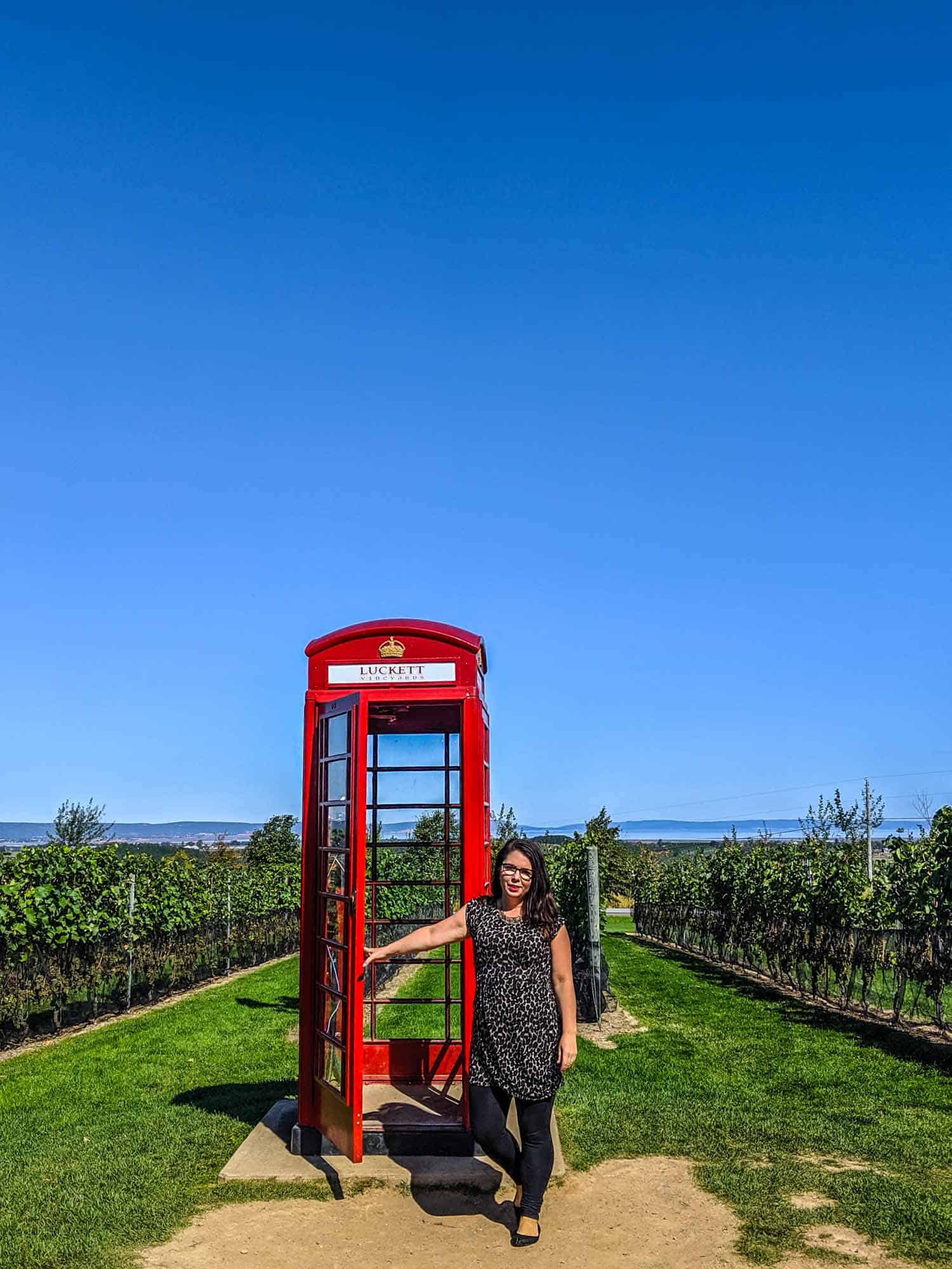 Red British phone booth at Luckett Vineyards, one of the stops on the Magic Winery Bus in Nova Scotia.