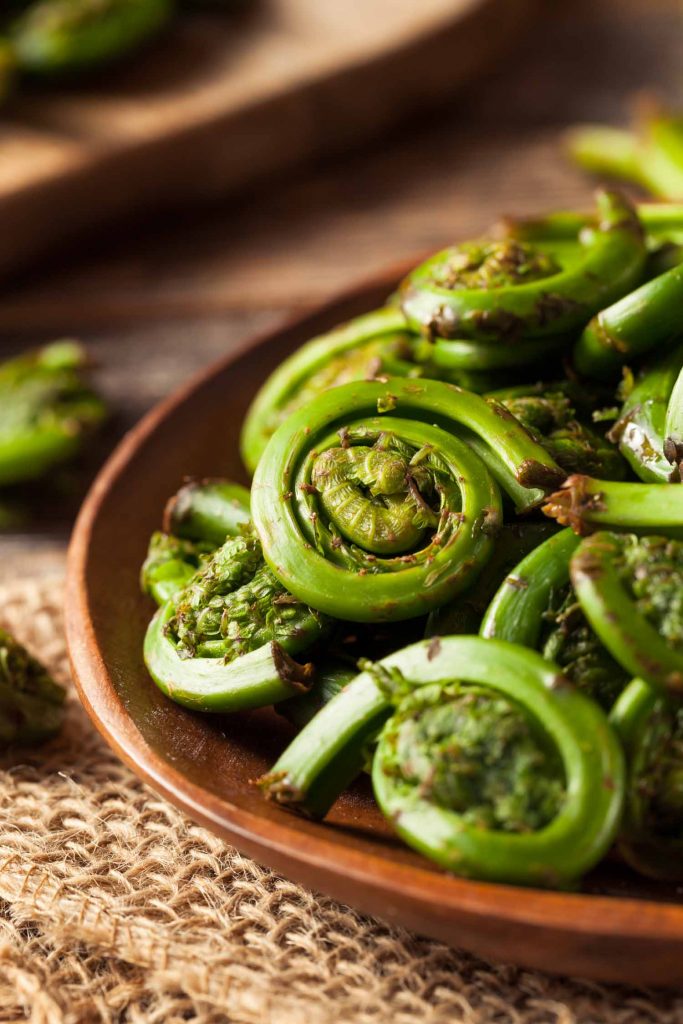 Raw Organic Green Fiddlehead Ferns Ready for Cooking