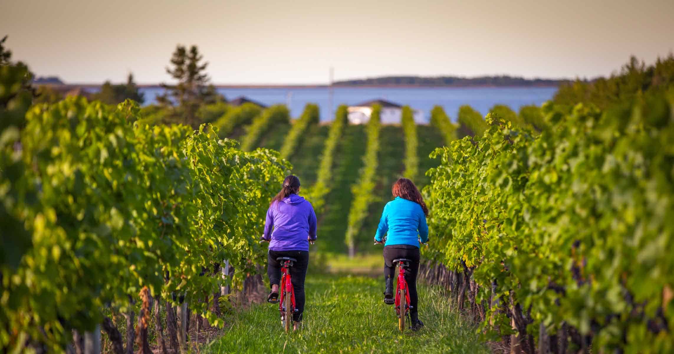 wine tour nova scotia valley