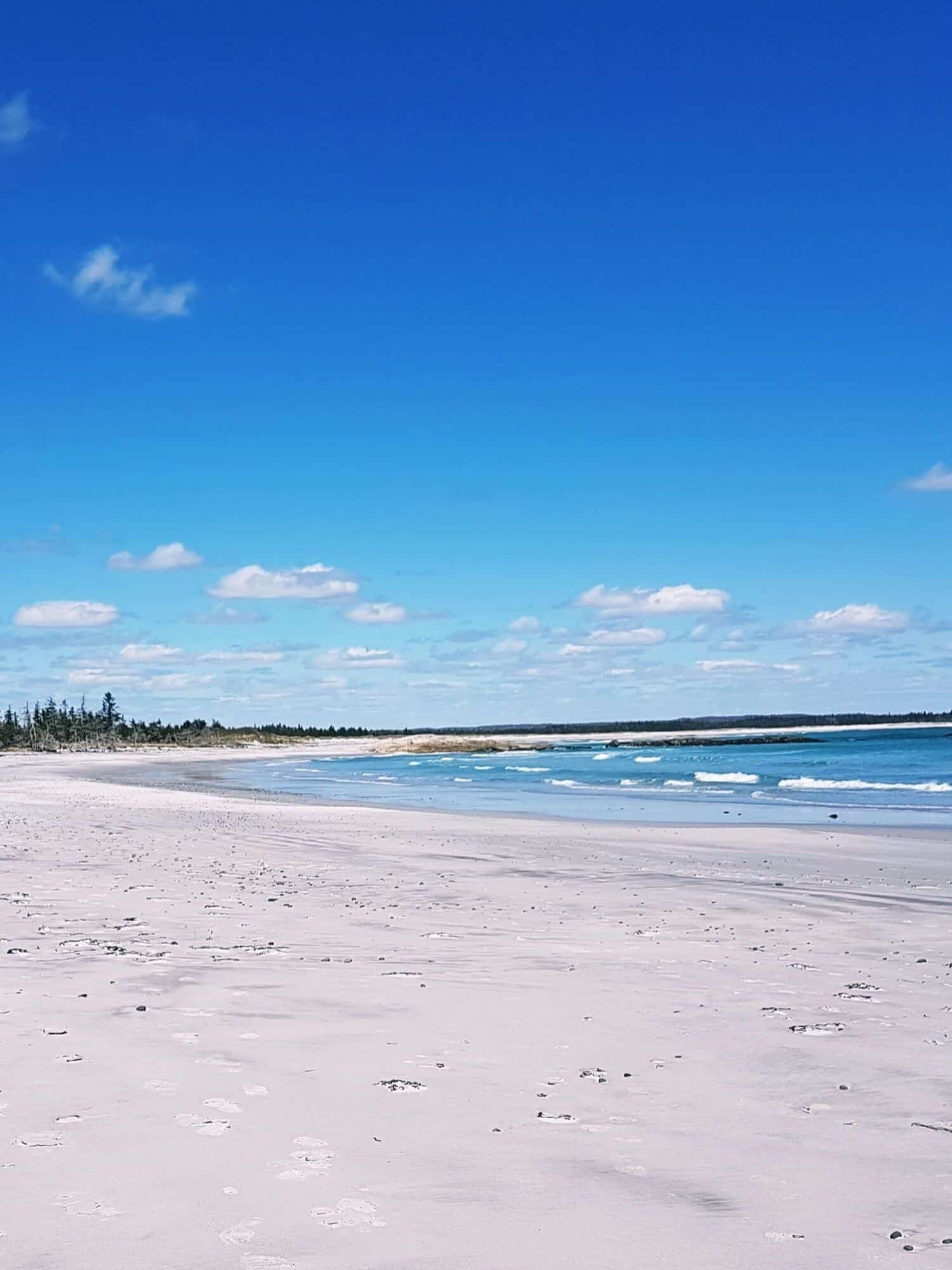 Kejimkujik Seaside Adjunct Trail