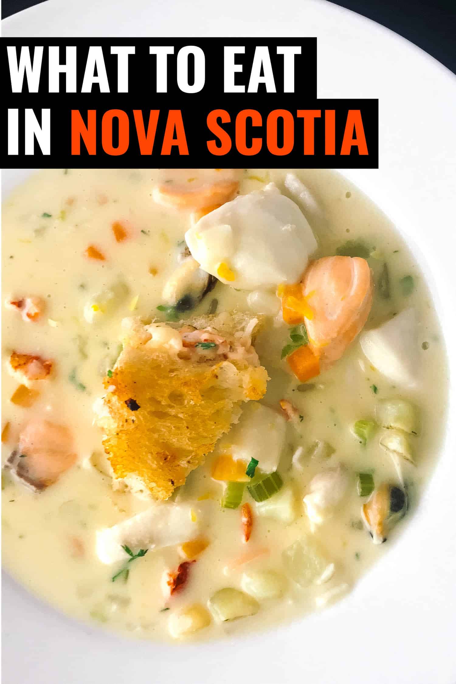 Nova Scotia chowder in white bowl.