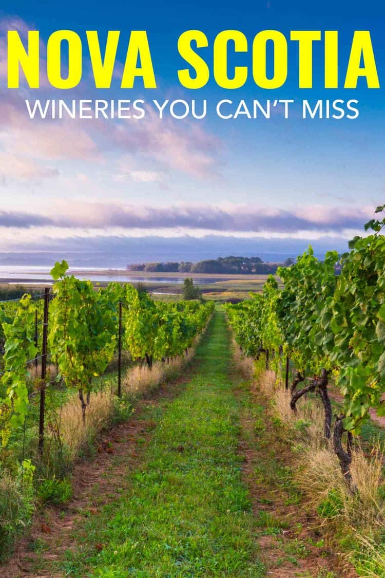 11 Reasons Wine Lovers Rave About Nova Scotia Wine