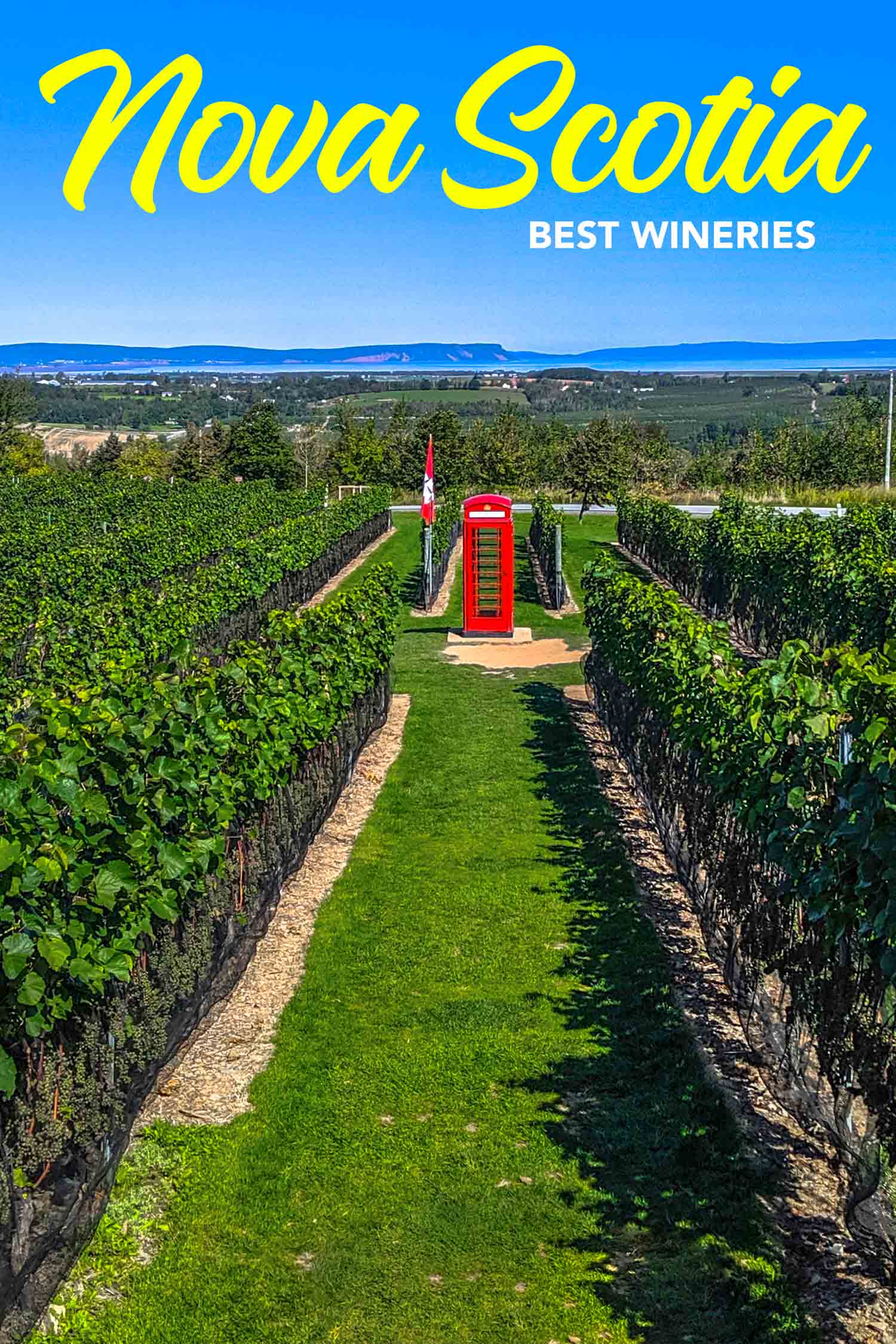 Luckett Vineyard in Wolfville Nova Scotia with British phone box