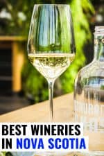 11 Reasons Wine Lovers Rave About Nova Scotia Wine