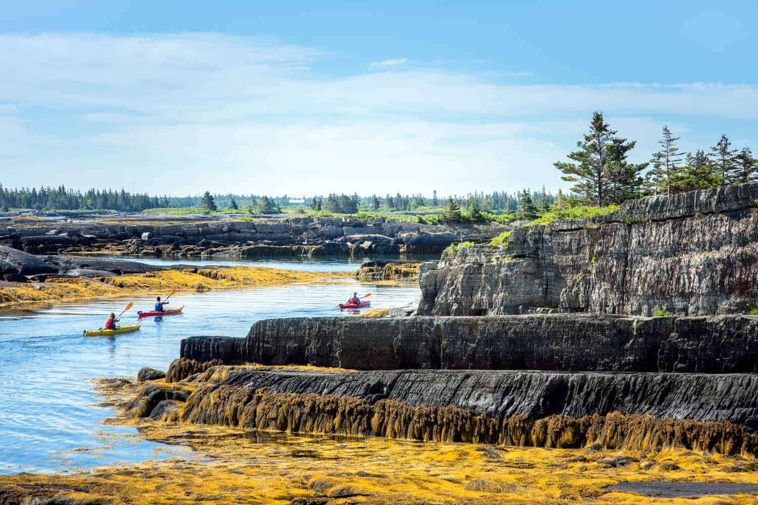 Pleasant Paddling tour in Blue Rocks Nova Scotia