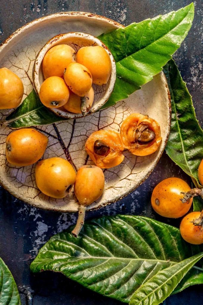 Cuban fruit loquat. Nispero. Eriobotrya Japonica. Loquat with fresh leaves on metal background.