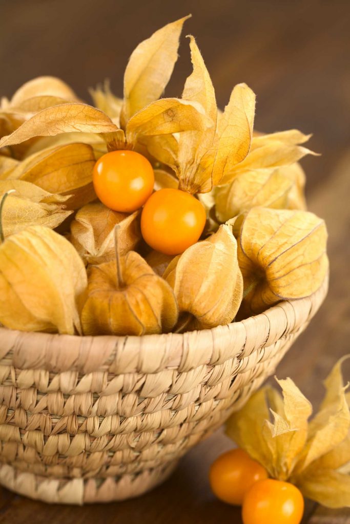 Basket of Peruvian fruit Capulin. Physalis berry fruits (lat. Physalis peruviana) with husk in basket (Selective Focus Focus on the open physalis berries in the basket)