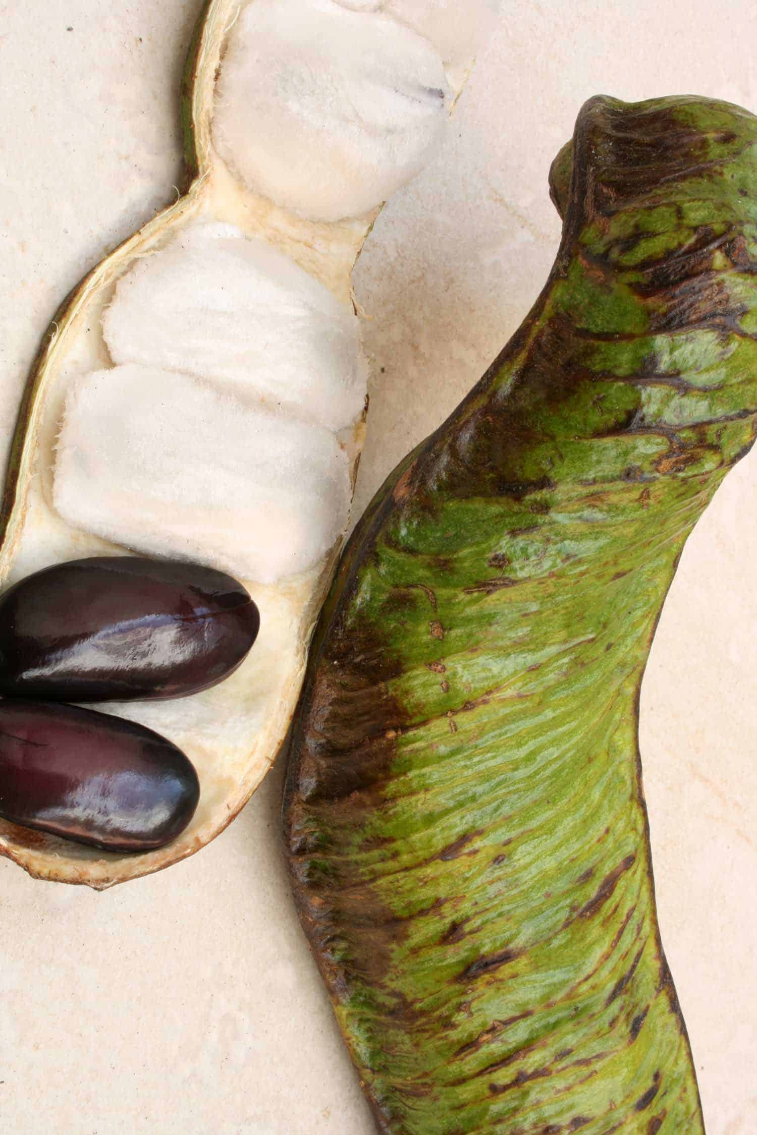 Peru fruit pacay. The white edible fluffy substance surrounding the black bean of a guaba plant and the pod where it grows