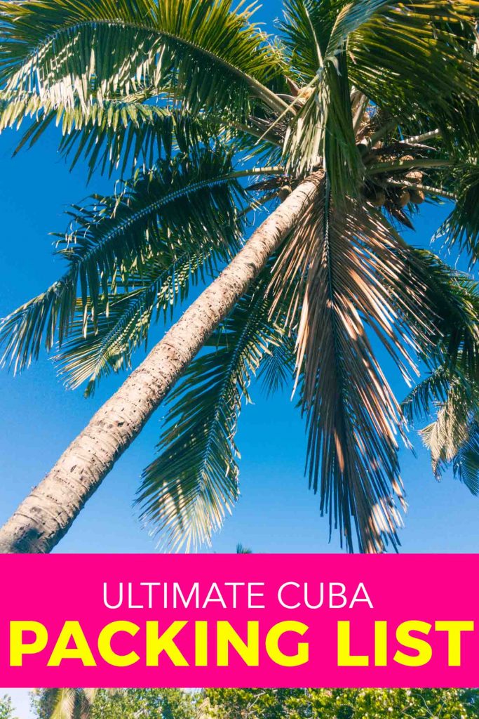 Palm trees in Cuba