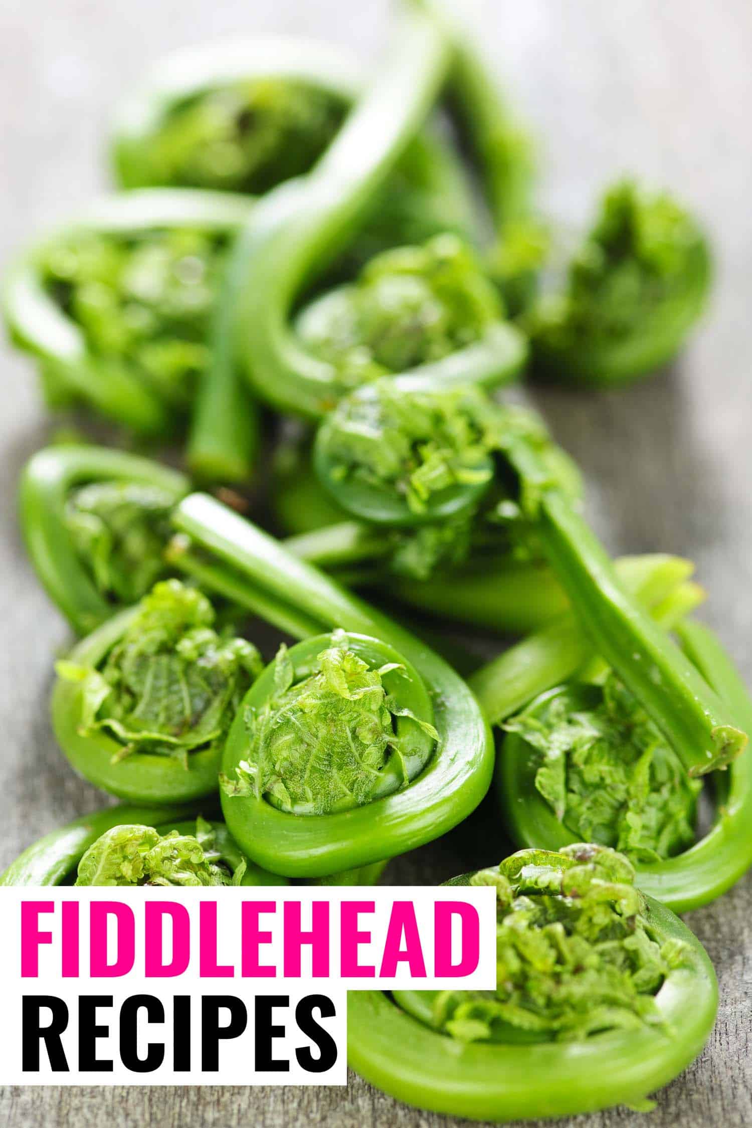 raw fiddleheads on a tabletop