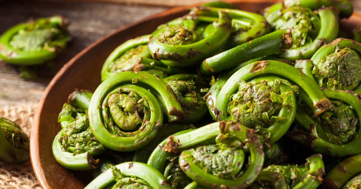12 Fiddlehead Recipes to Celebrate Spring