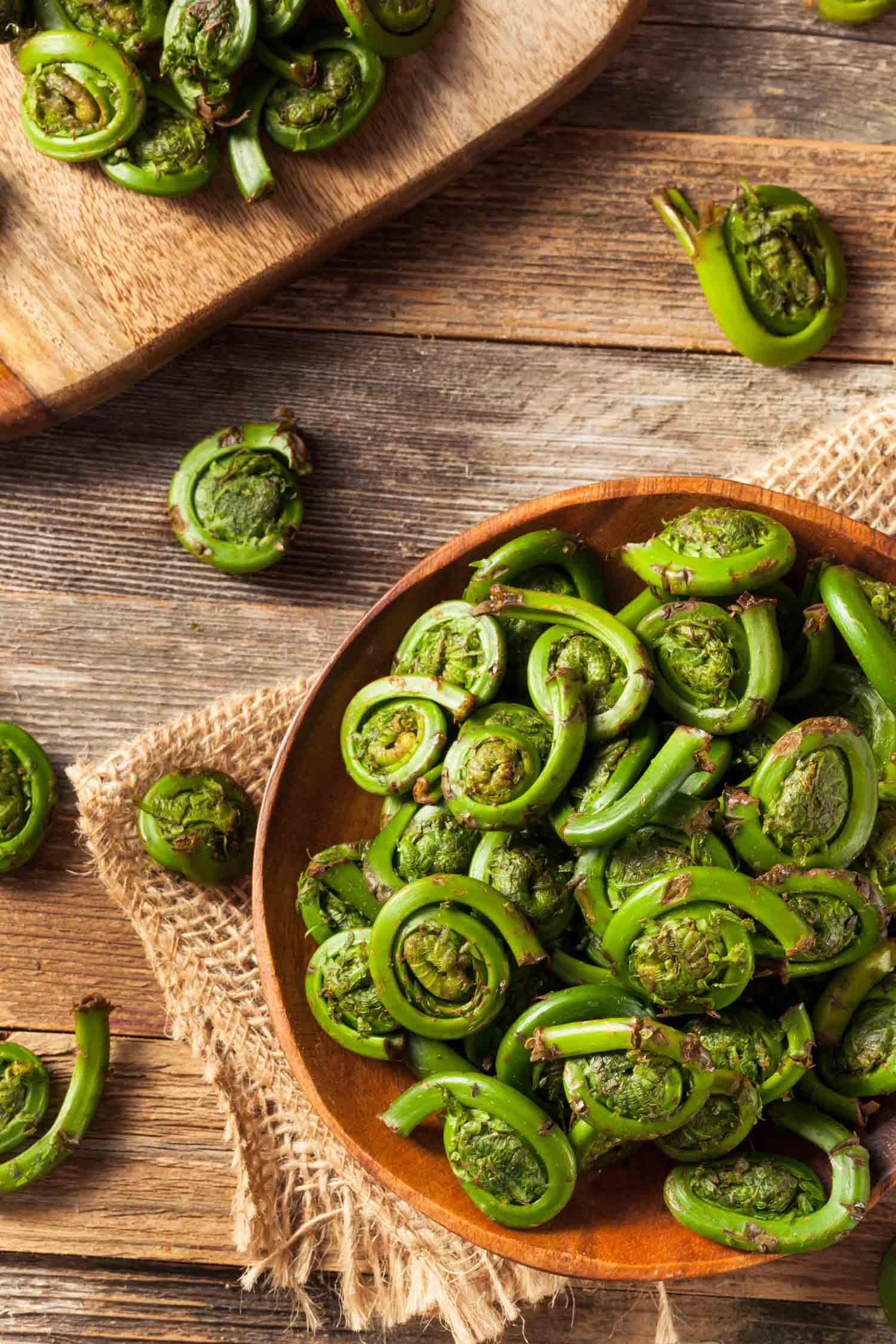 Raw Organic Green Fiddlehead Ferns Ready for Cooking