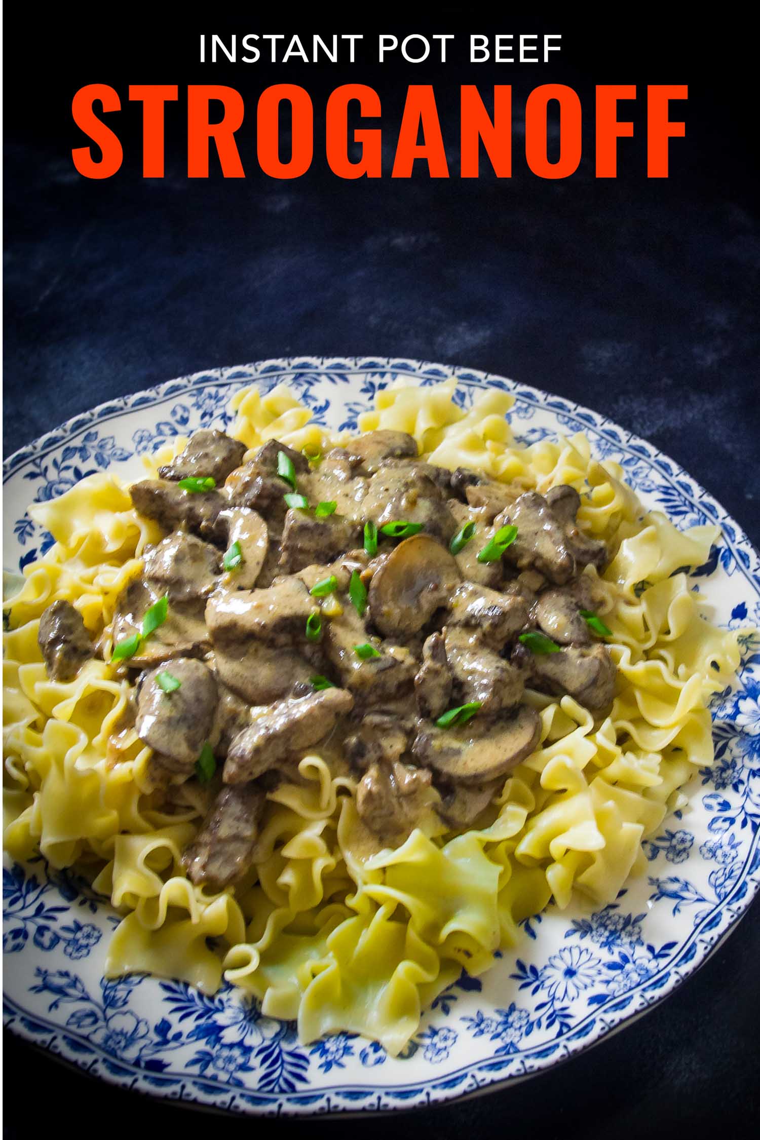 beef stroganoff blue background