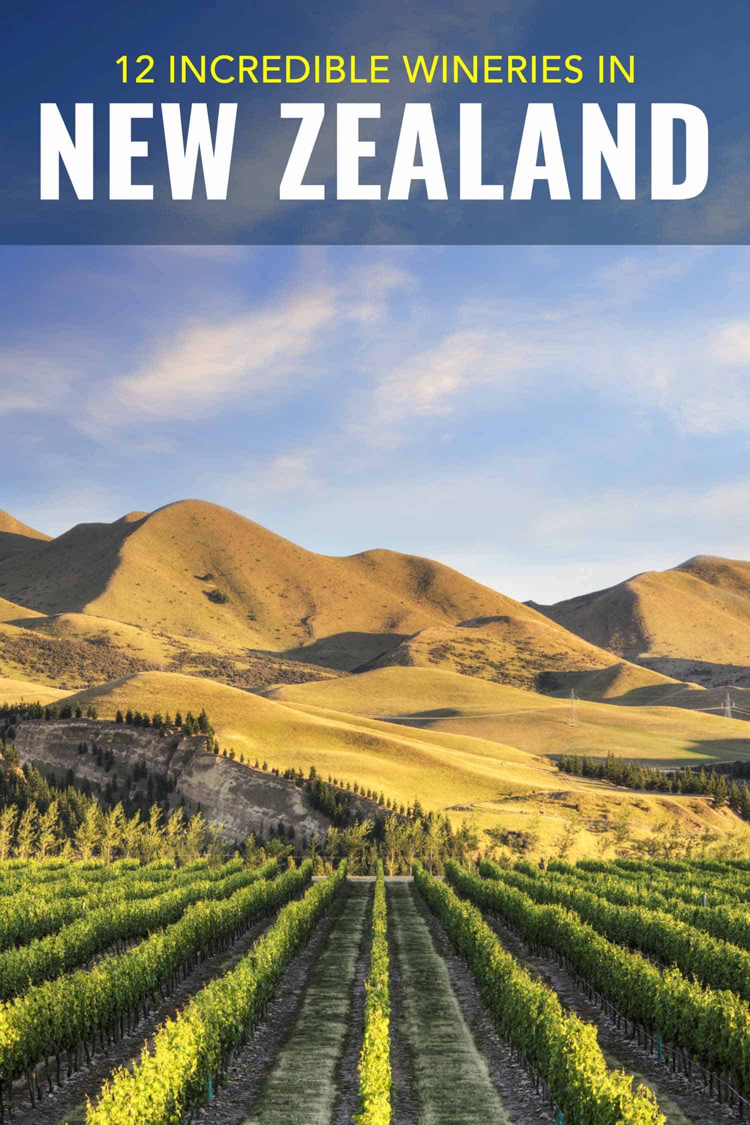 Winery in New Zealand, A vineyard near Waipara, in North Canterbury, New Zealand, in early morning sunlight.
