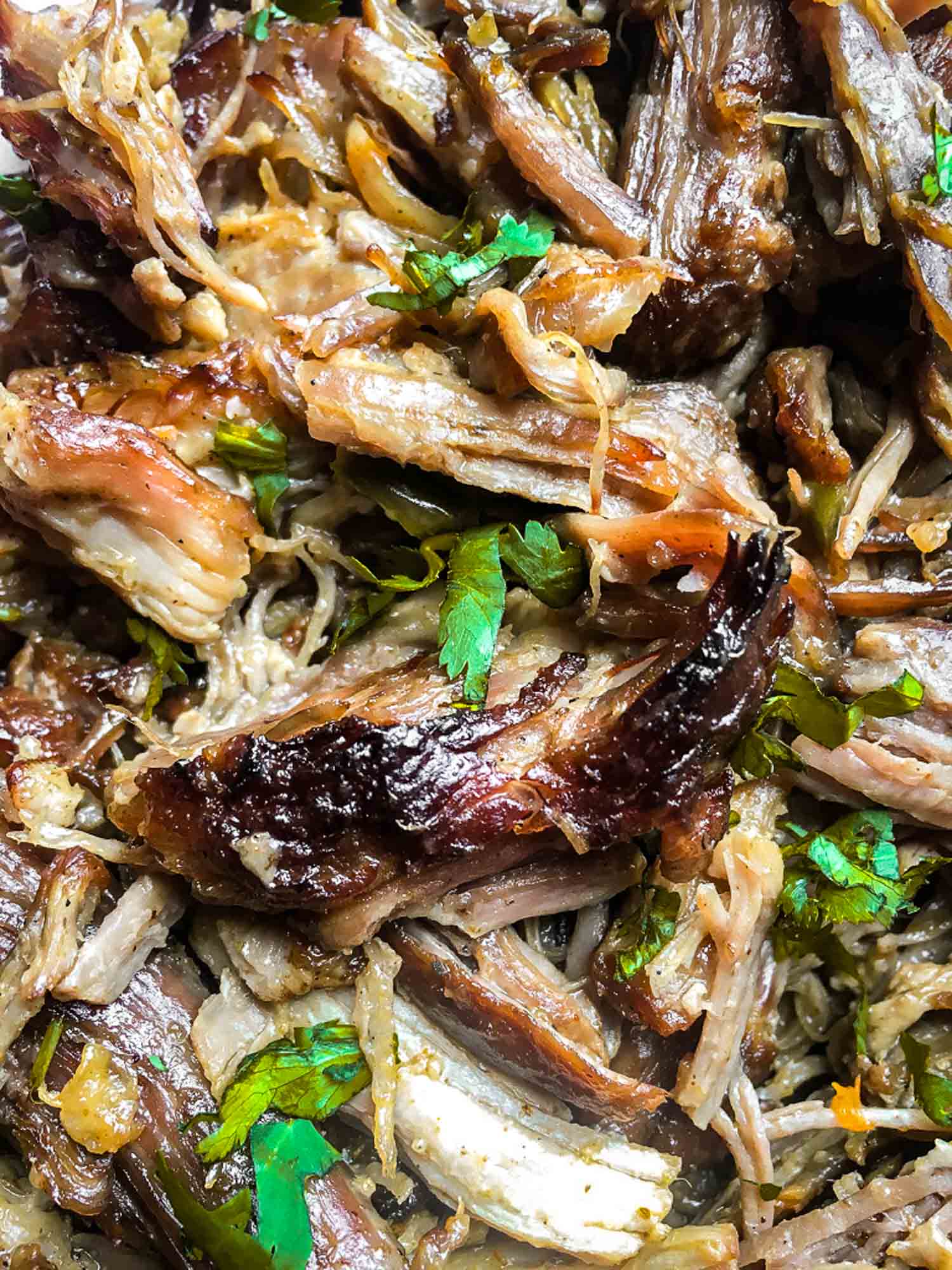 Crispy pork carnitas with cilantro