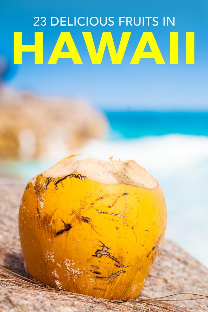 Coconut in Hawaii beach