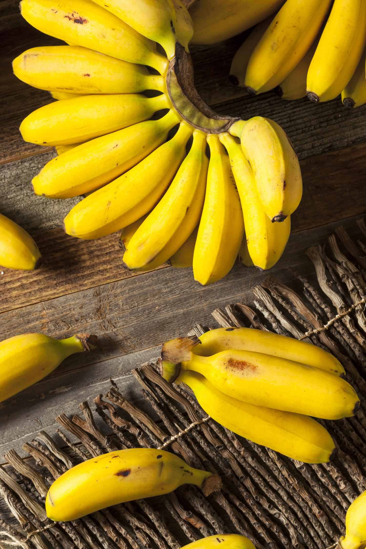 Hawaiian apple bananas in bunches