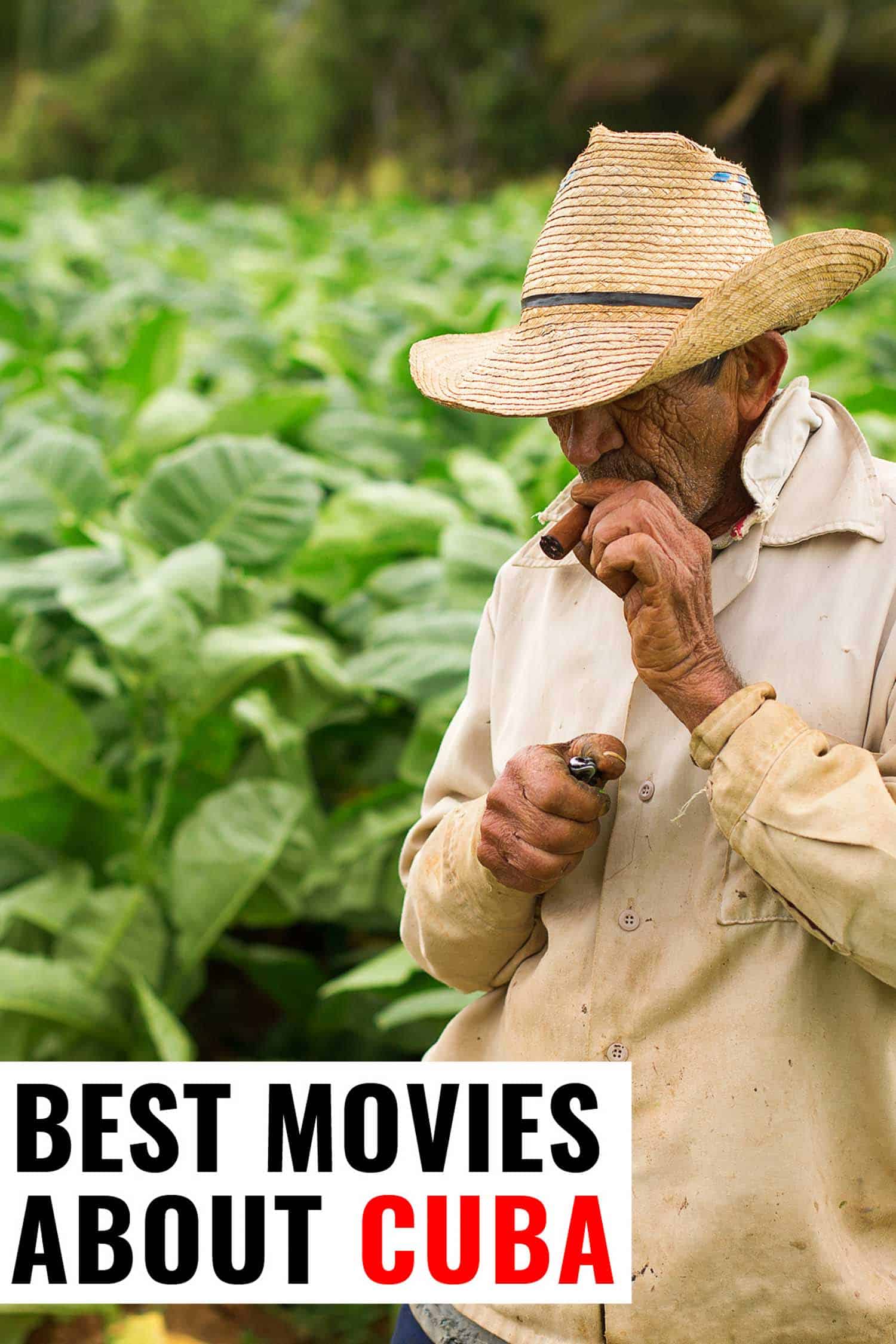 Tobacco farmer in Vinales Cuba with text that says best movies about Cuba