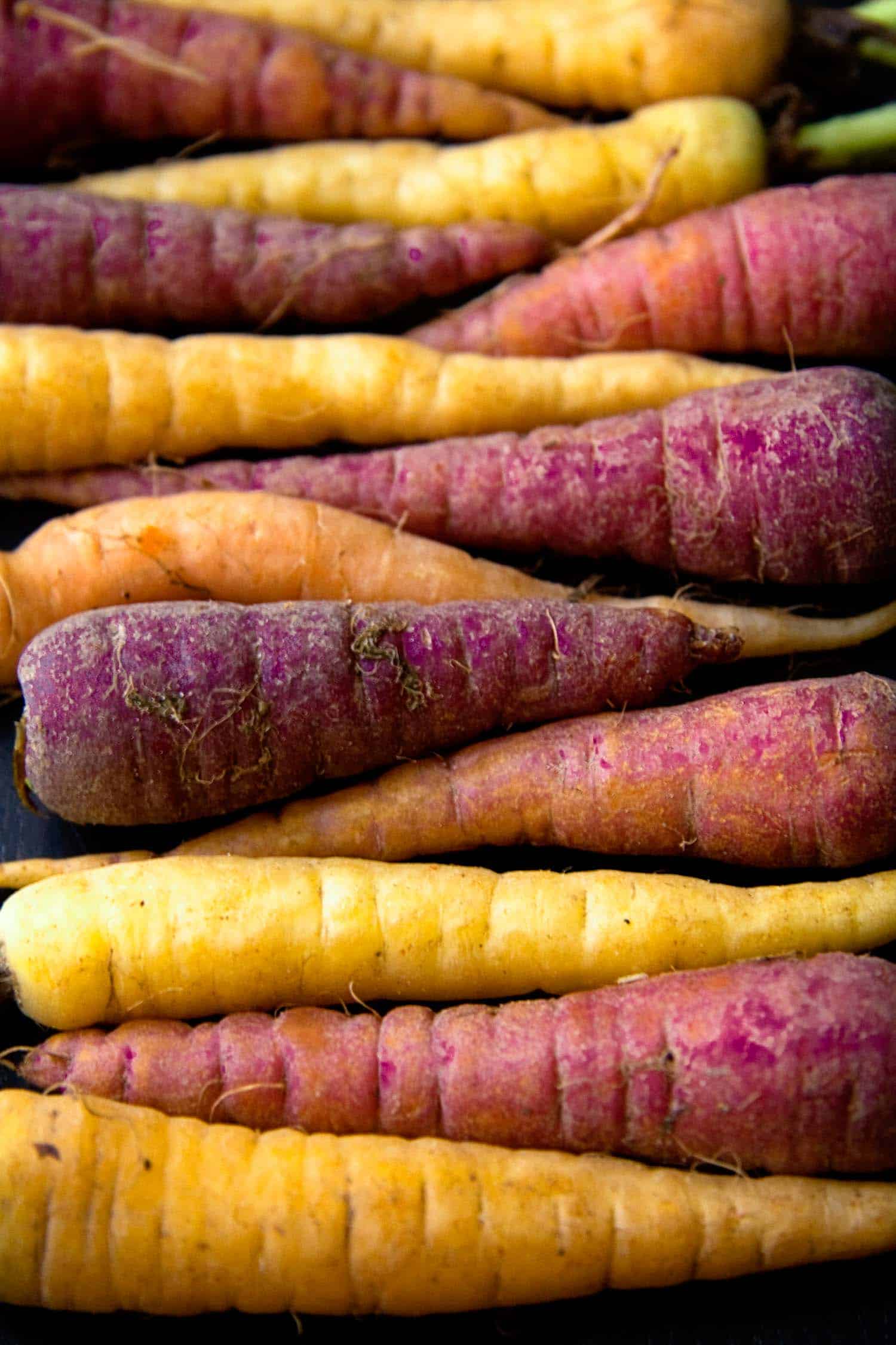 Rainbow carrots lined up
