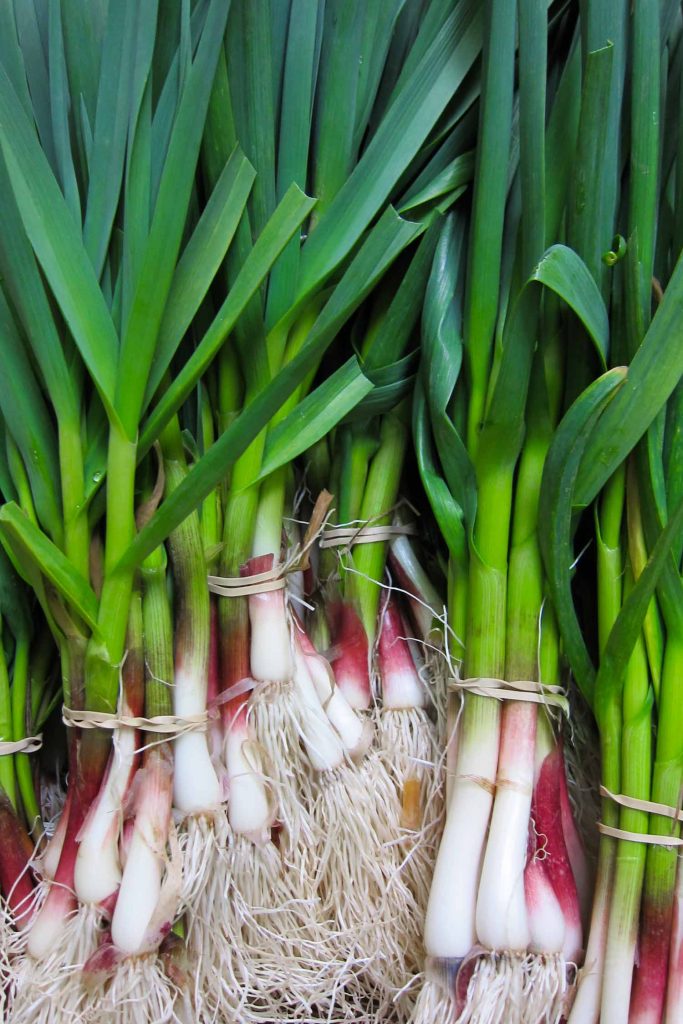 green garlic