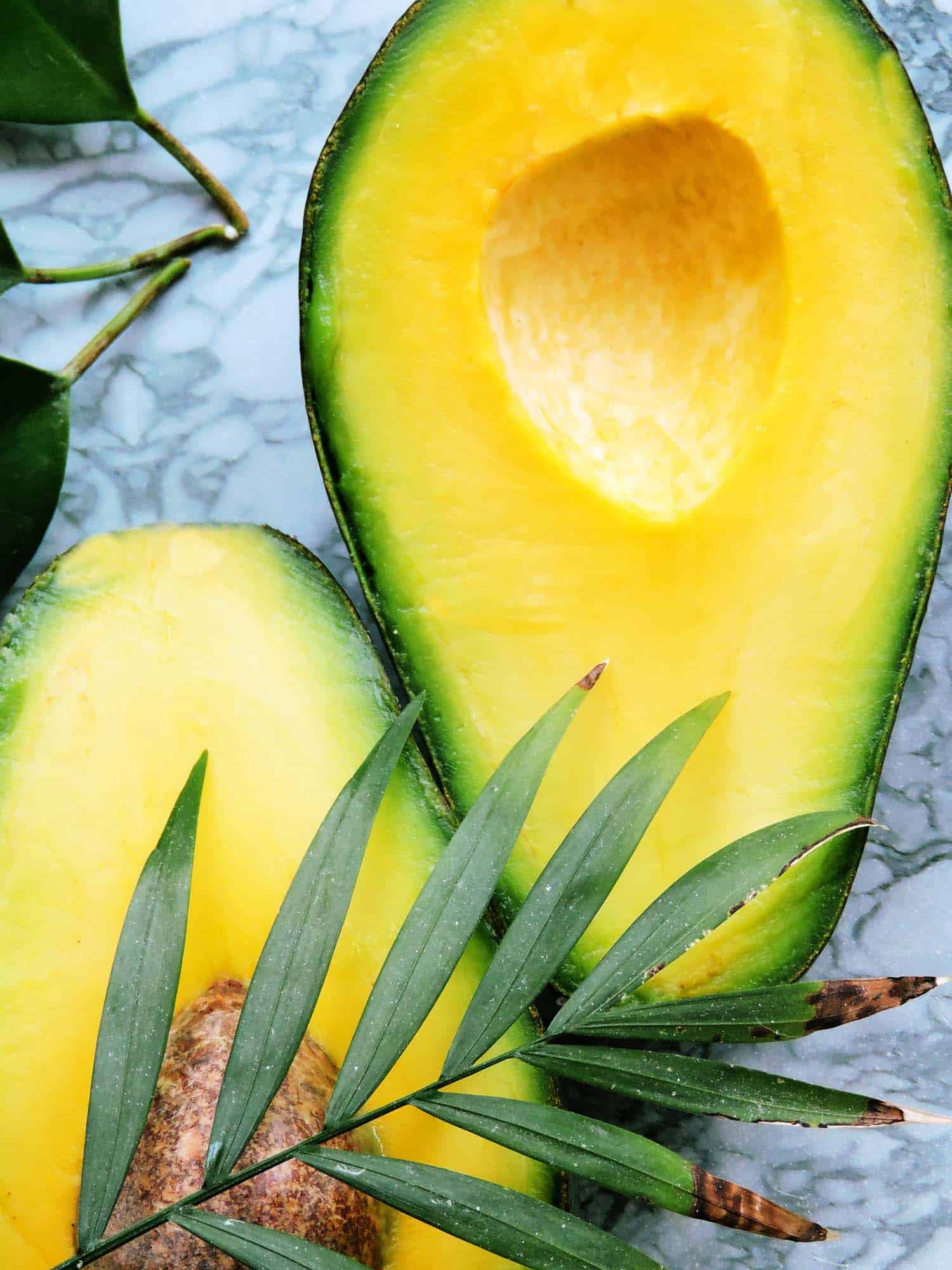 Hawaiian avocado sliced in half.