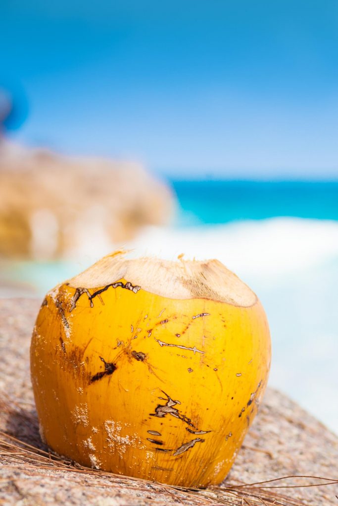 Hawaiian fruit. Fresh coconut cocktail on a tropical beach