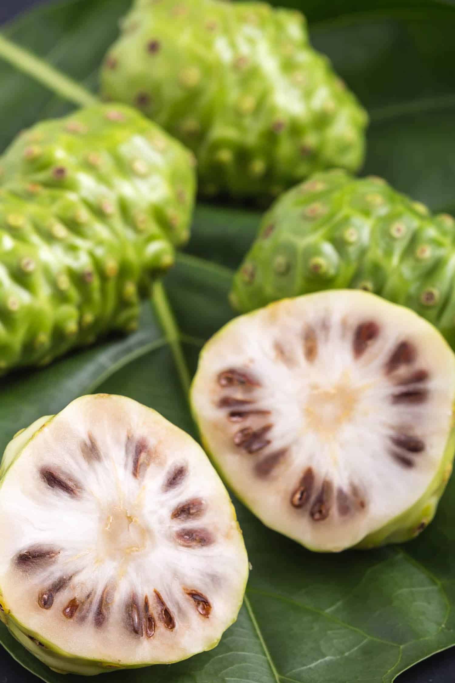 Hawaiian Fruit of Great morinda (Noni) or Morinda citrifolia tree and green leaf on black stone board background