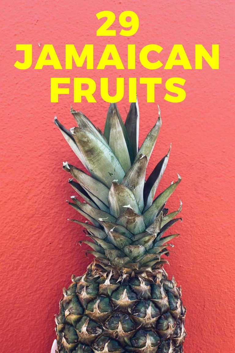 29 Jamaican Fruits You Must Try on Holiday Bacon is Magic