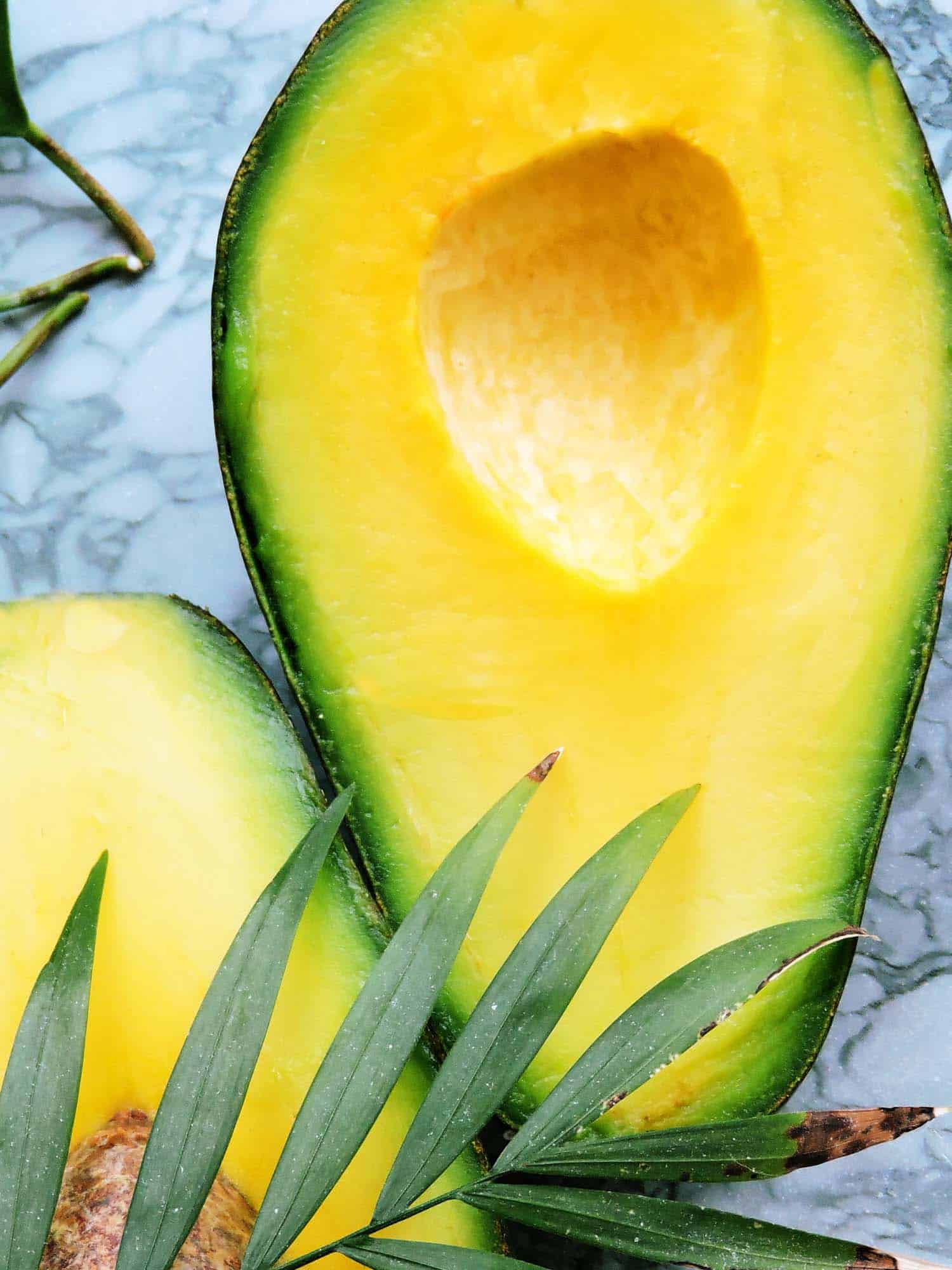 Jamaican avocado fruit cut in half revealing bright yellow flesh.