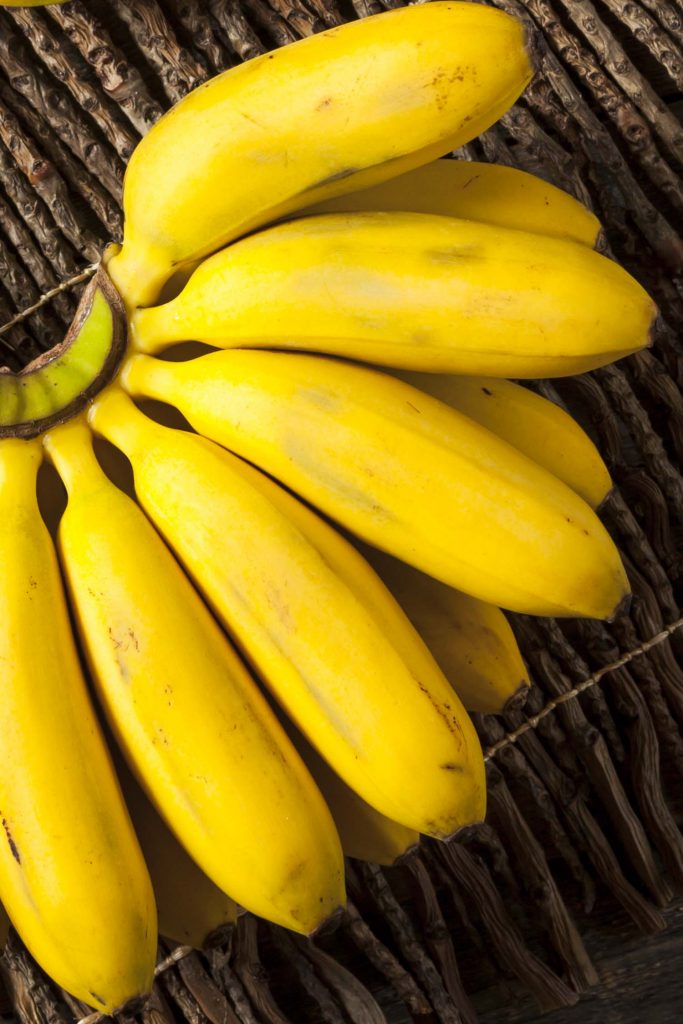 Jamaican fruits honey banana in bunch on a bamboo background