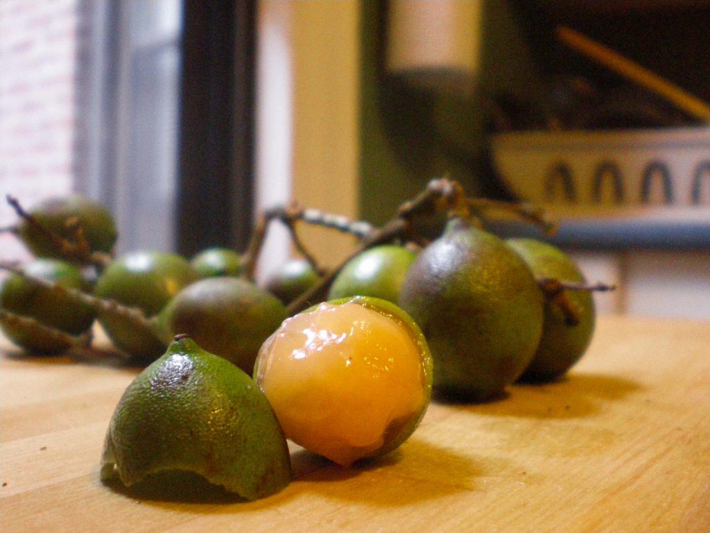 29 Jamaican Fruits You Must Try on Holiday Bacon is Magic