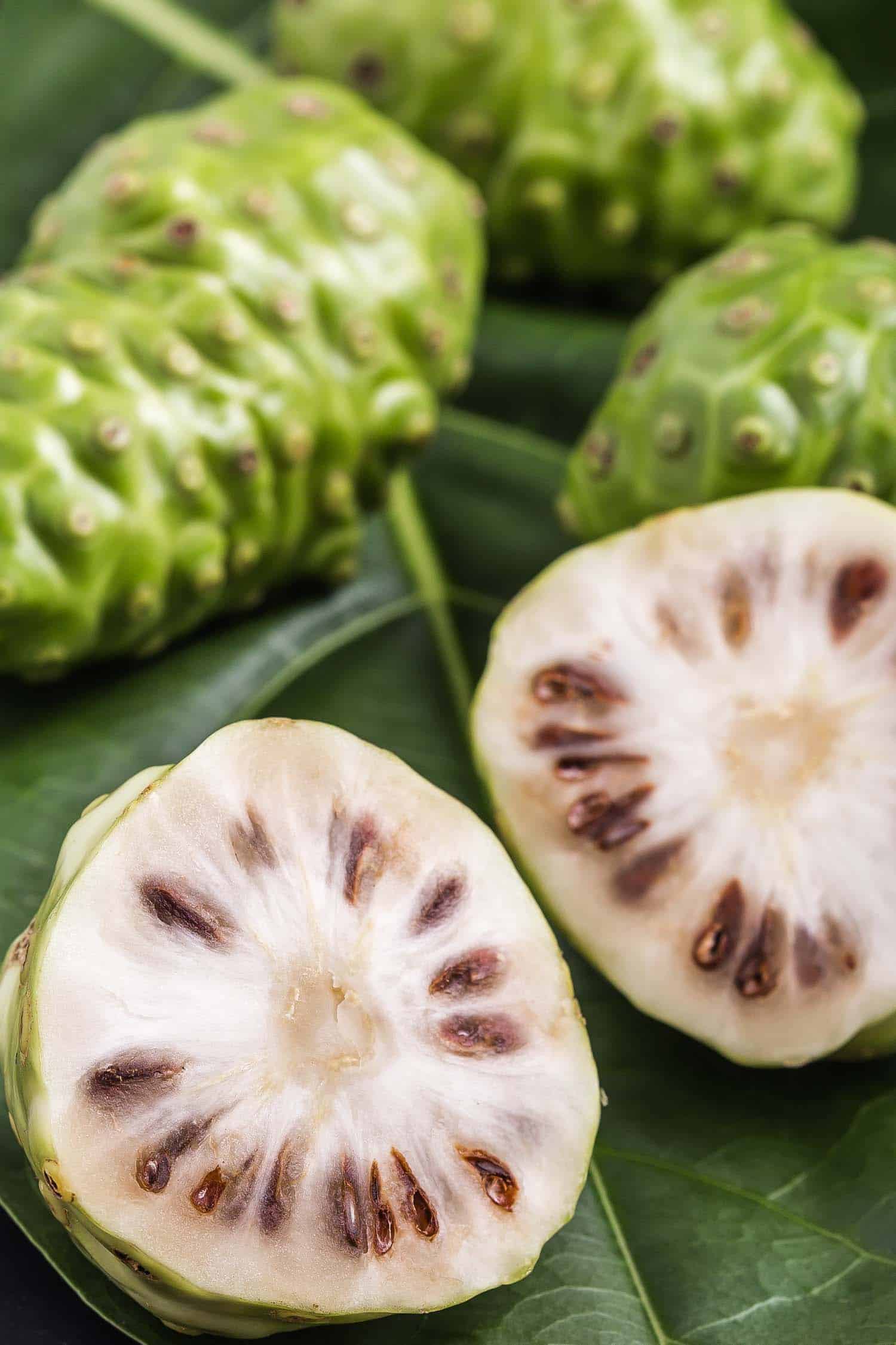 Jamaican Fruit of Great morinda (Noni) or Morinda citrifolia tree and green leaf on black stone board background