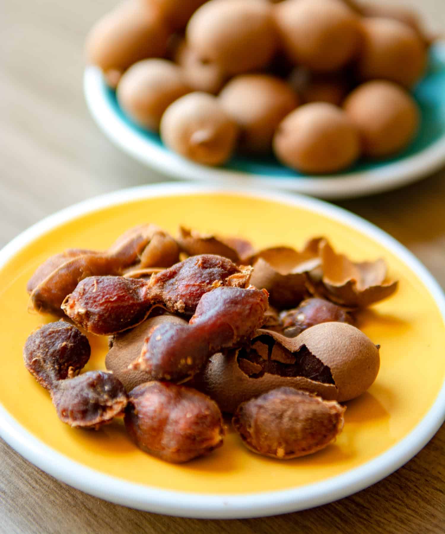 Jamaica fruits of tropical Africal tree tamarind, used in cooking, traditional medicine and metal polish close up