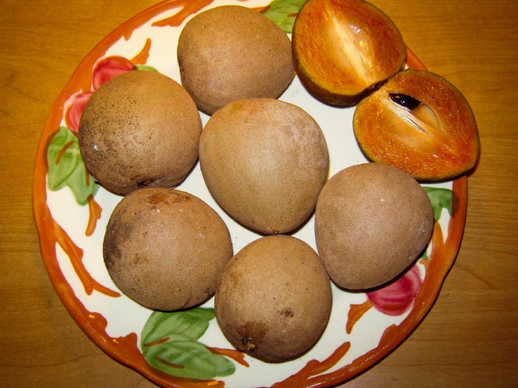 Jamaican naseberry fruis on a plate with one cut to show inner flesh