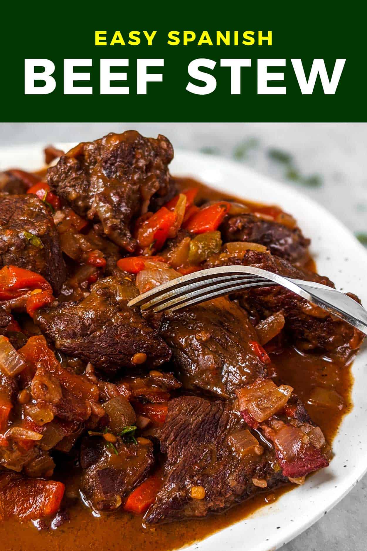 Spanish beef stew on a white plate with a fork.