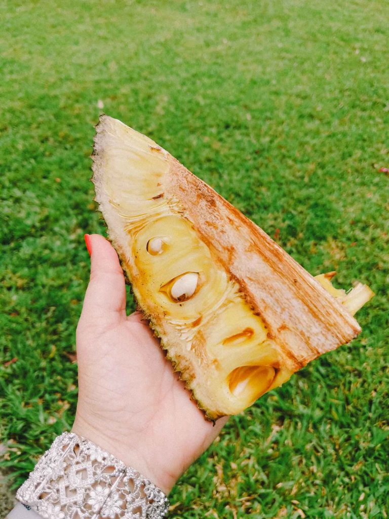 Section of Jamaican jackfruit in a hand