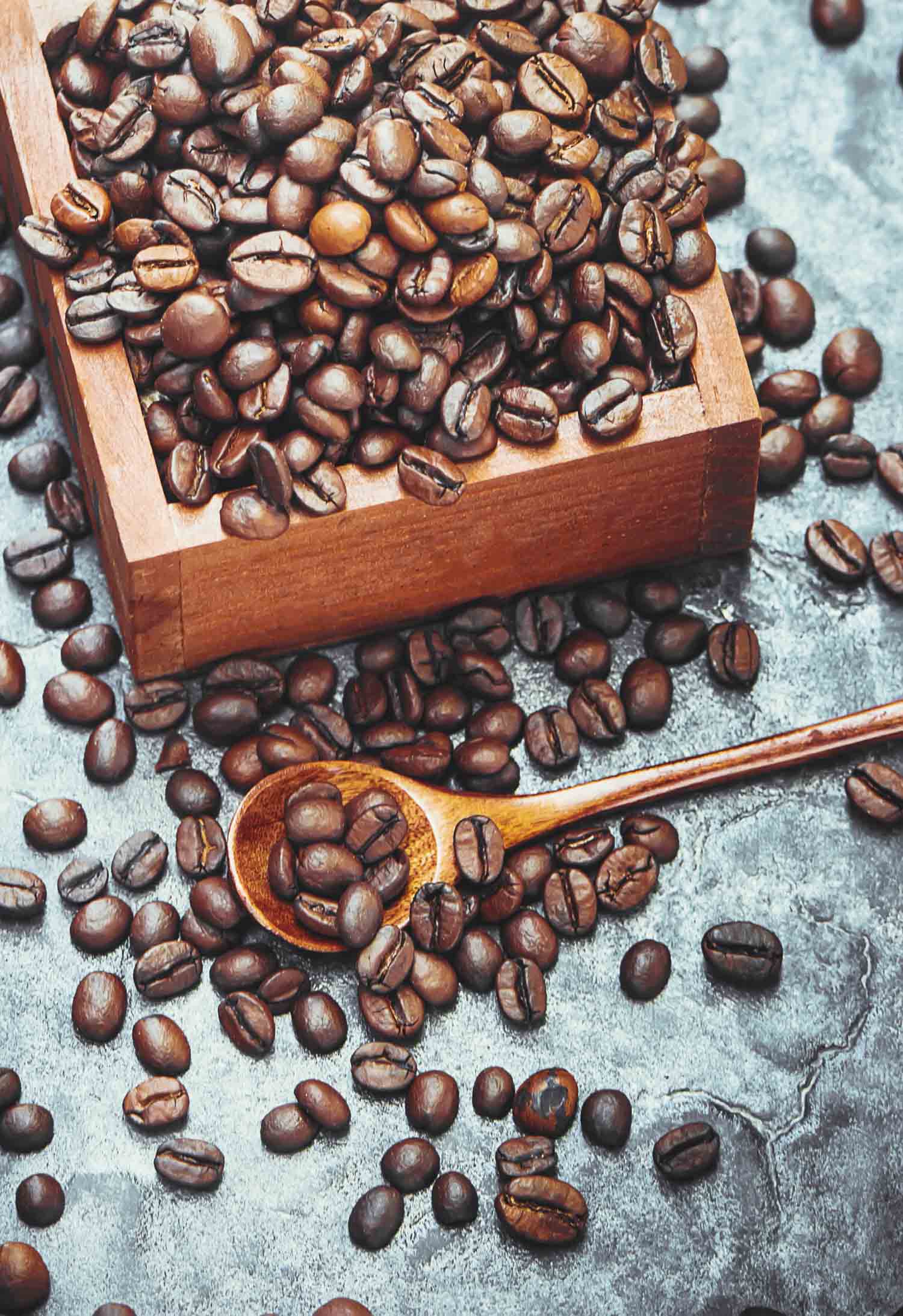 coffee beans on a metallic background